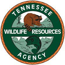 Tennessee's Free 2023 Hunting Day Is This Saturday